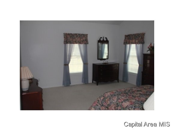 2 Chimney View Lane Springfield, IL 62707 - Photo 13 of 24 Gallery Image 13