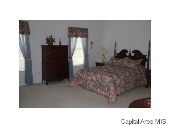 2 Chimney View Lane Springfield, IL 62707 - Photo 14 of 24 Gallery Image 14