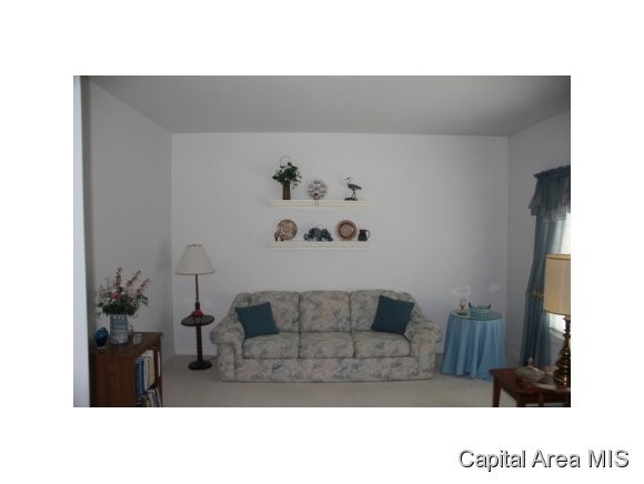 2 Chimney View Lane Springfield, IL 62707 - Photo 3 of 24 Gallery Image 3
