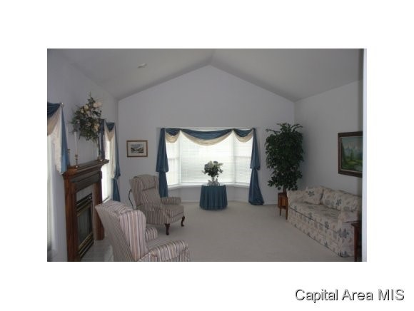2 Chimney View Lane Springfield, IL 62707 - Photo 4 of 24 Gallery Image 4
