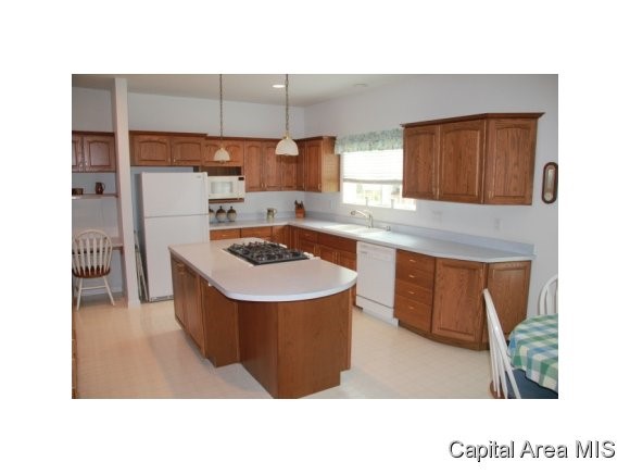 2 Chimney View Lane Springfield, IL 62707 - Photo 7 of 24 Gallery Image 7