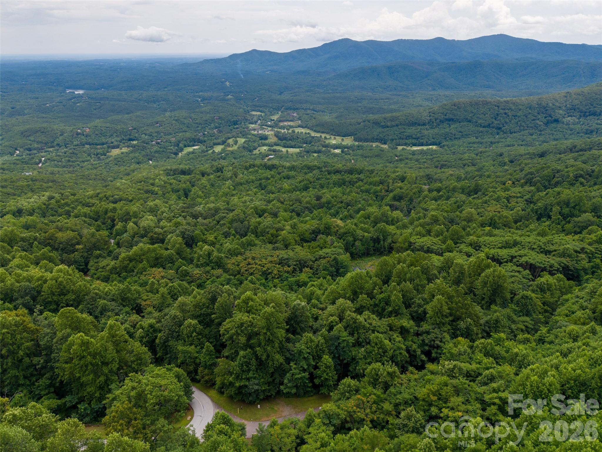 236 Nottingham Dr Mill Spring Mill Spring, NC 28756 - Photo 14 of 19