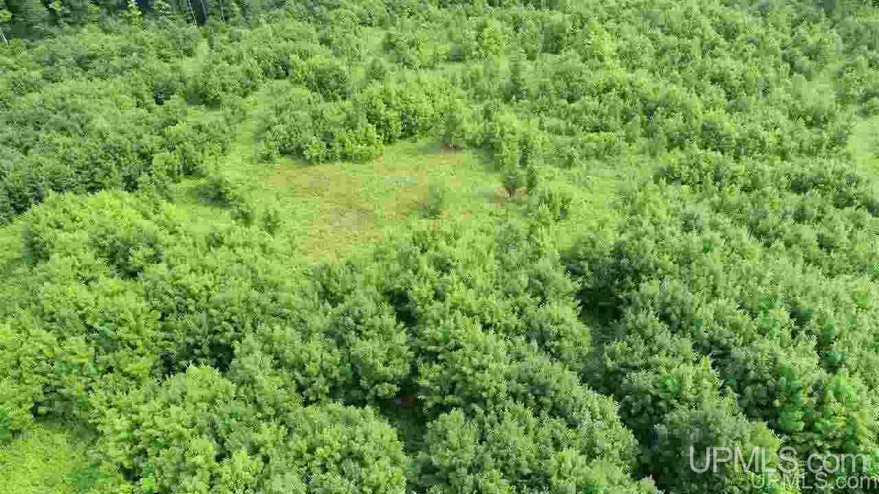 Tbd Southside Road Manistique, MI 49854 - Photo 18 of 36 Gallery Image 18