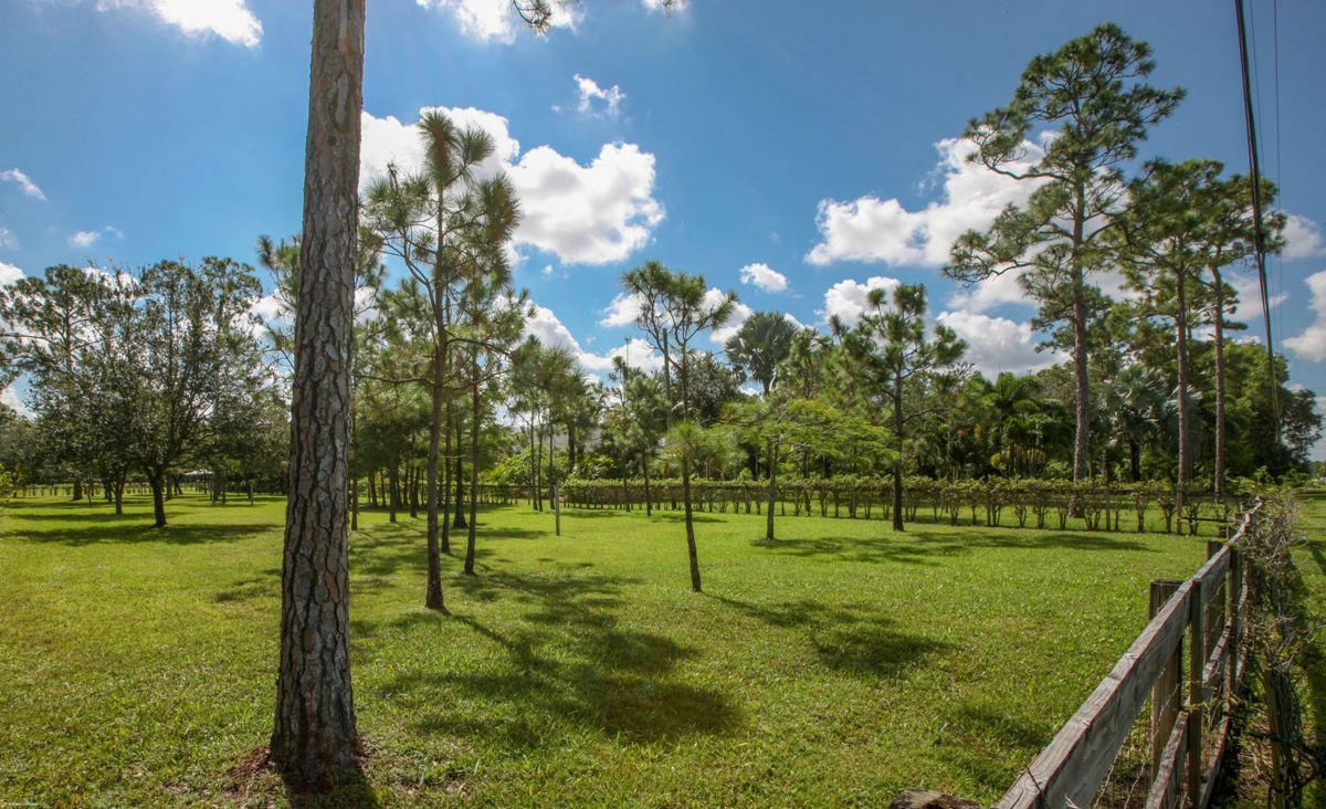 5310 Homeland Road Lake Worth, FL 33449 - Photo 27 of 37 0033