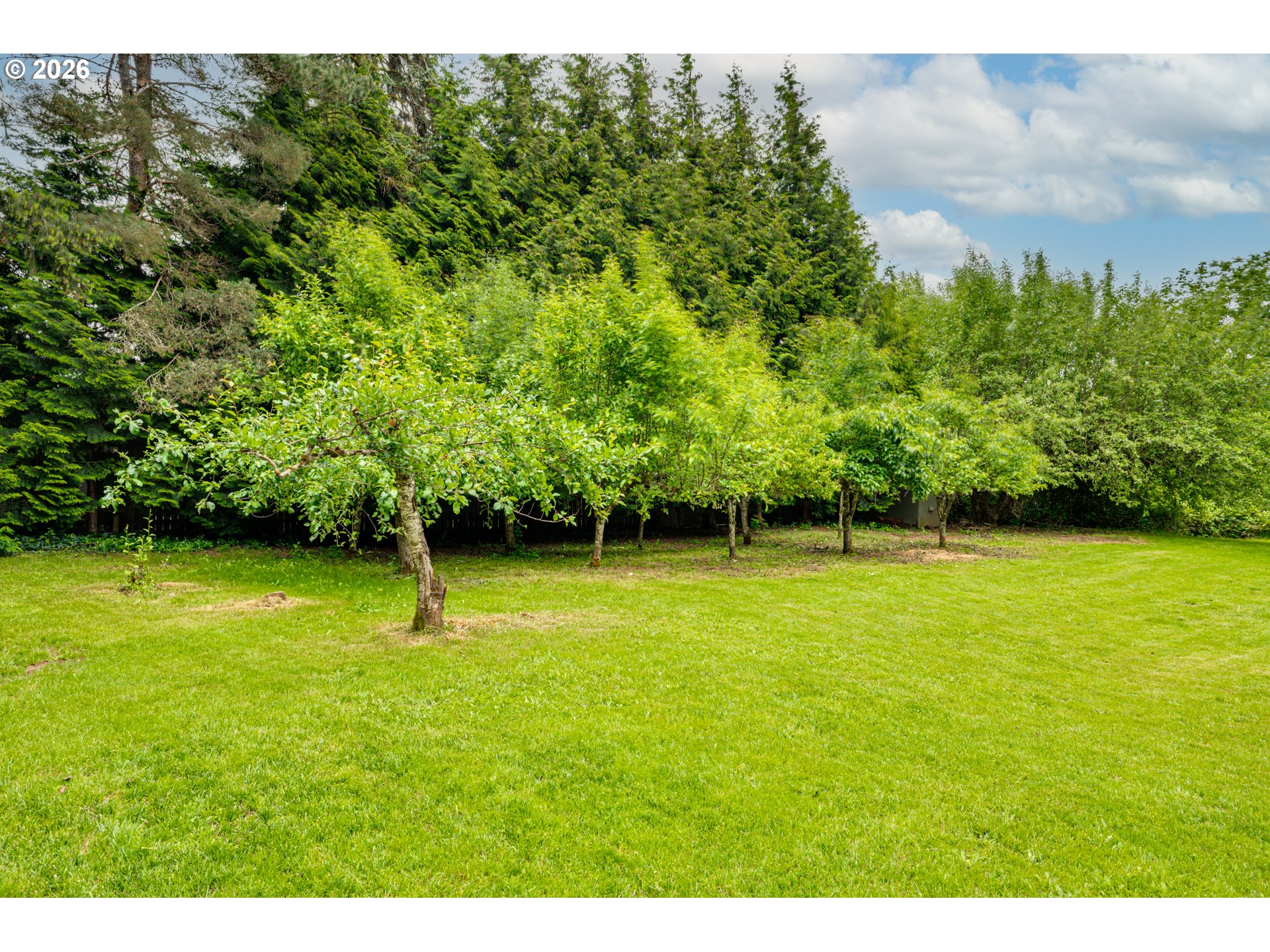 315 Scott Hill Road Woodland, WA 98674 - Photo 27 of 40 Gallery Image 27