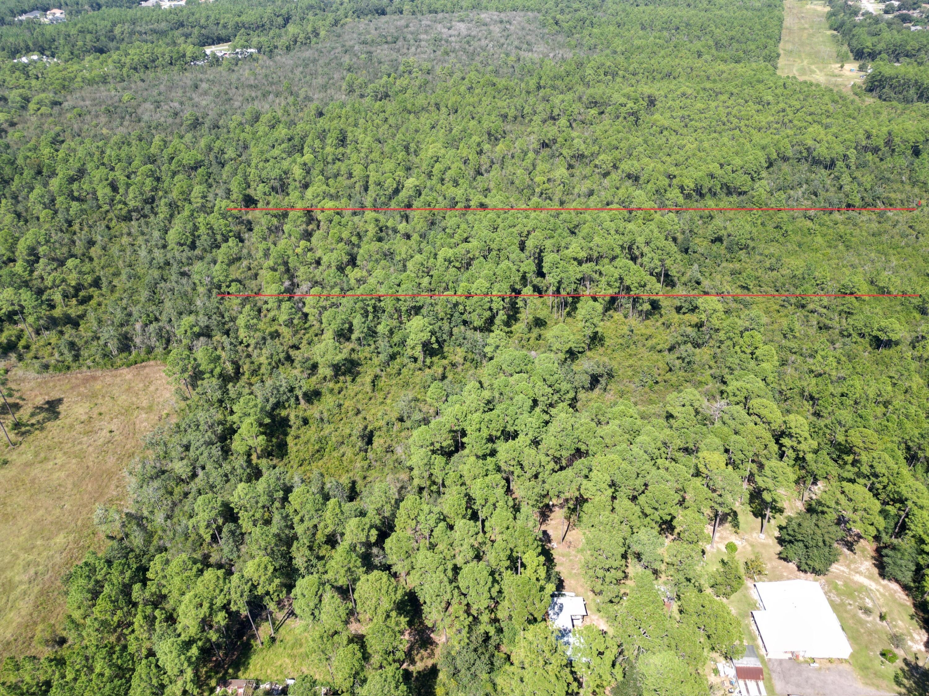 0 Mier Henry Road Pensacola, FL 32506 - Photo 19 of 20 a view of a yard with a tree