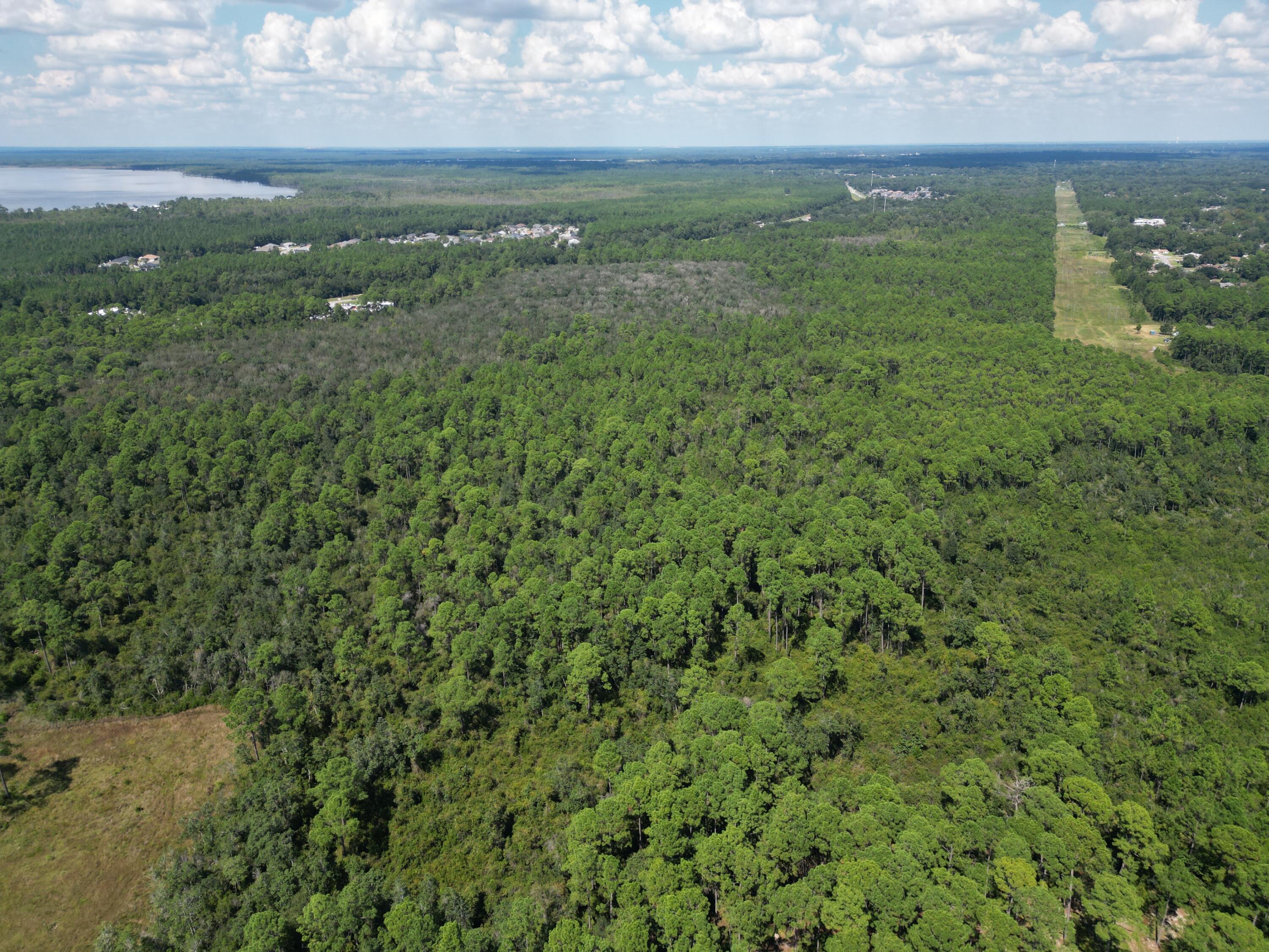 0 Mier Henry Road Pensacola, FL 32506 - Photo 20 of 20 a view of a green field with lots of bushes