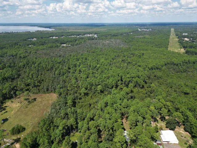 a view of a city with lush green forest