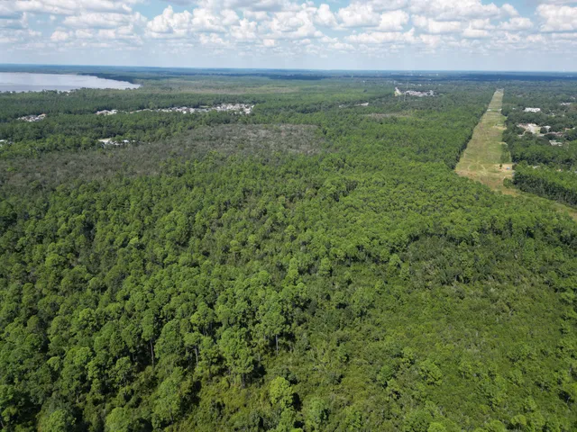 an aerial view of residential houses with outdoor space and trees