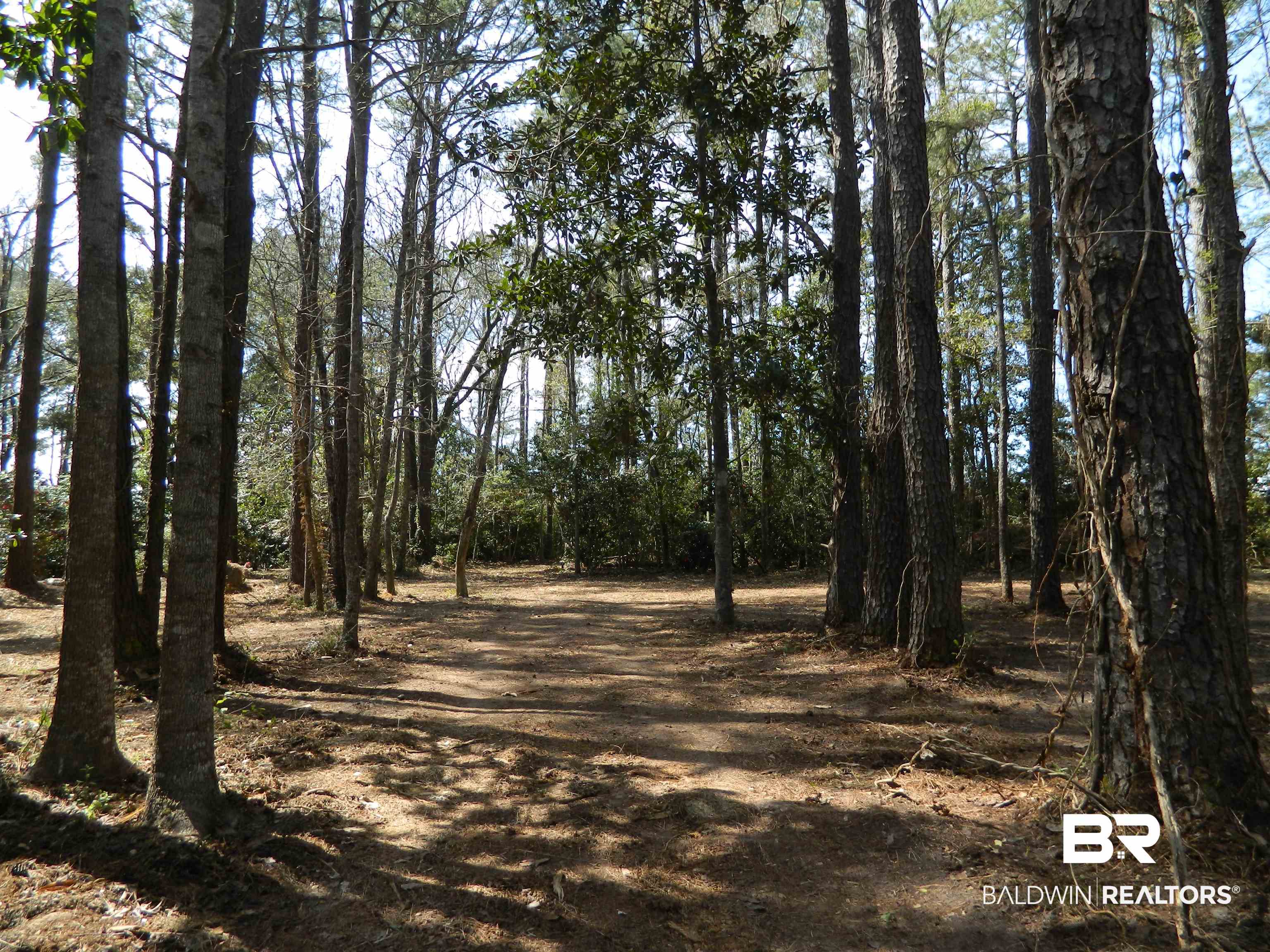 Riverview Nursery Road Theodore, AL 36582 - Photo 12 of 24