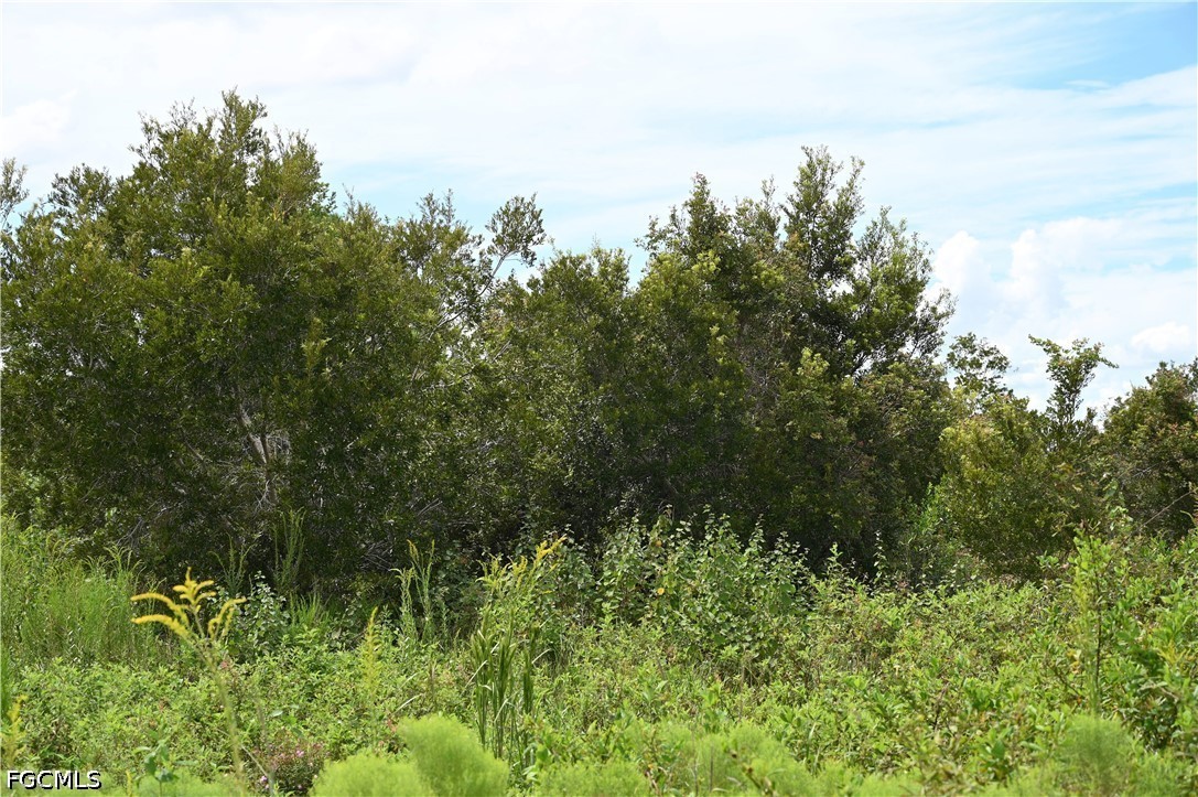 0 County Line Road East Bowling Green, FL 33834 - Photo 12 of 20