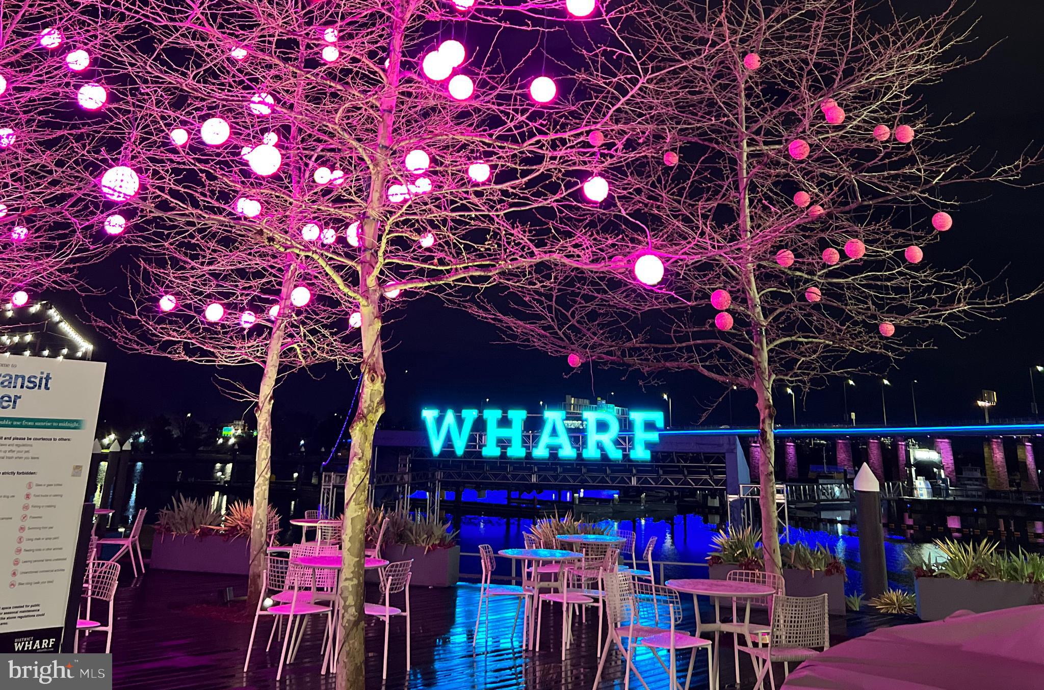 1101 3rd Street Southwest, Unit 312 Washington, DC 20024 - Photo 38 of 48 Minutes to SWDC waterfront/The Wharf!