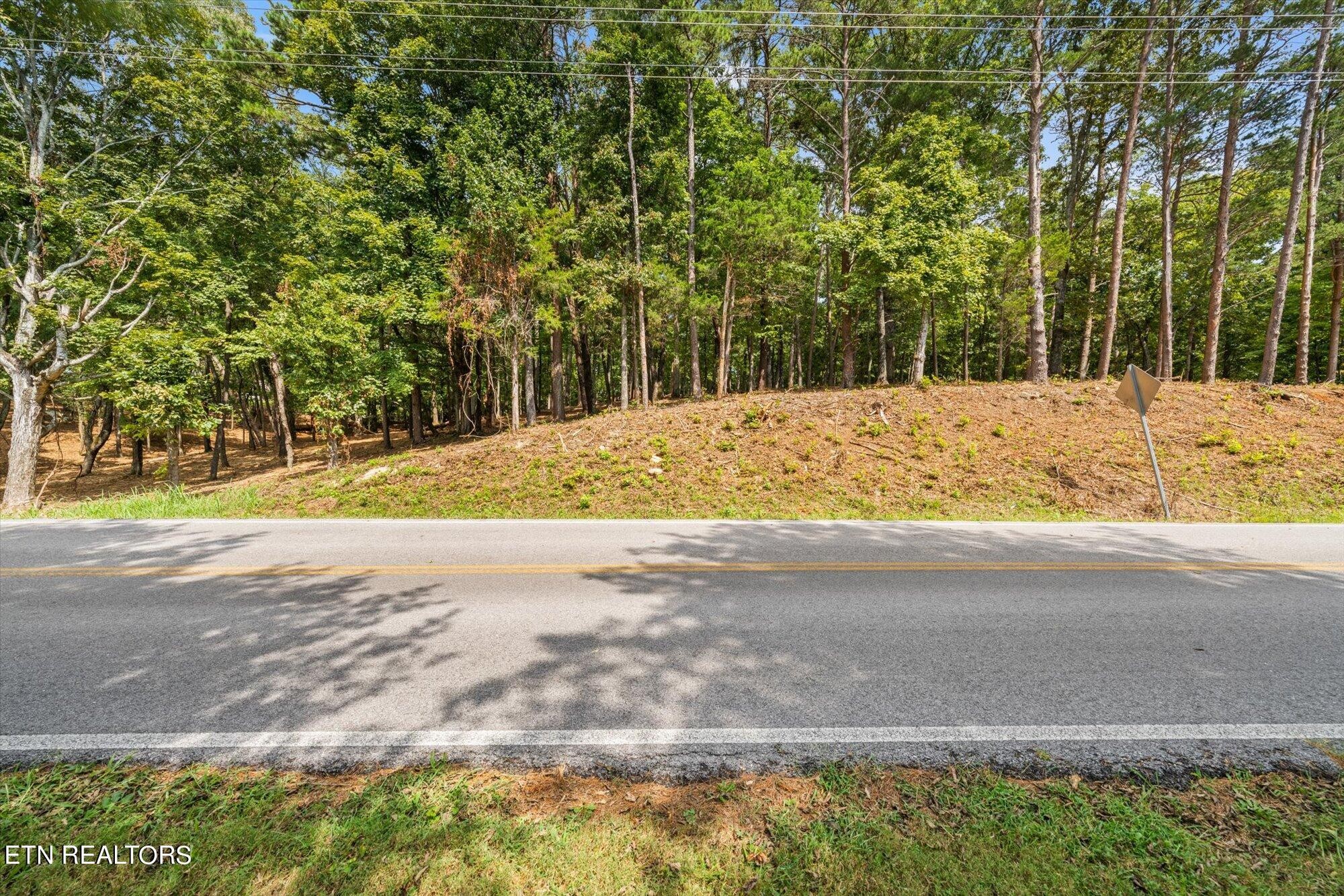 0 Lot Road Lenoir City, TN 37772 - Photo 12 of 21 Gallery Image 12
