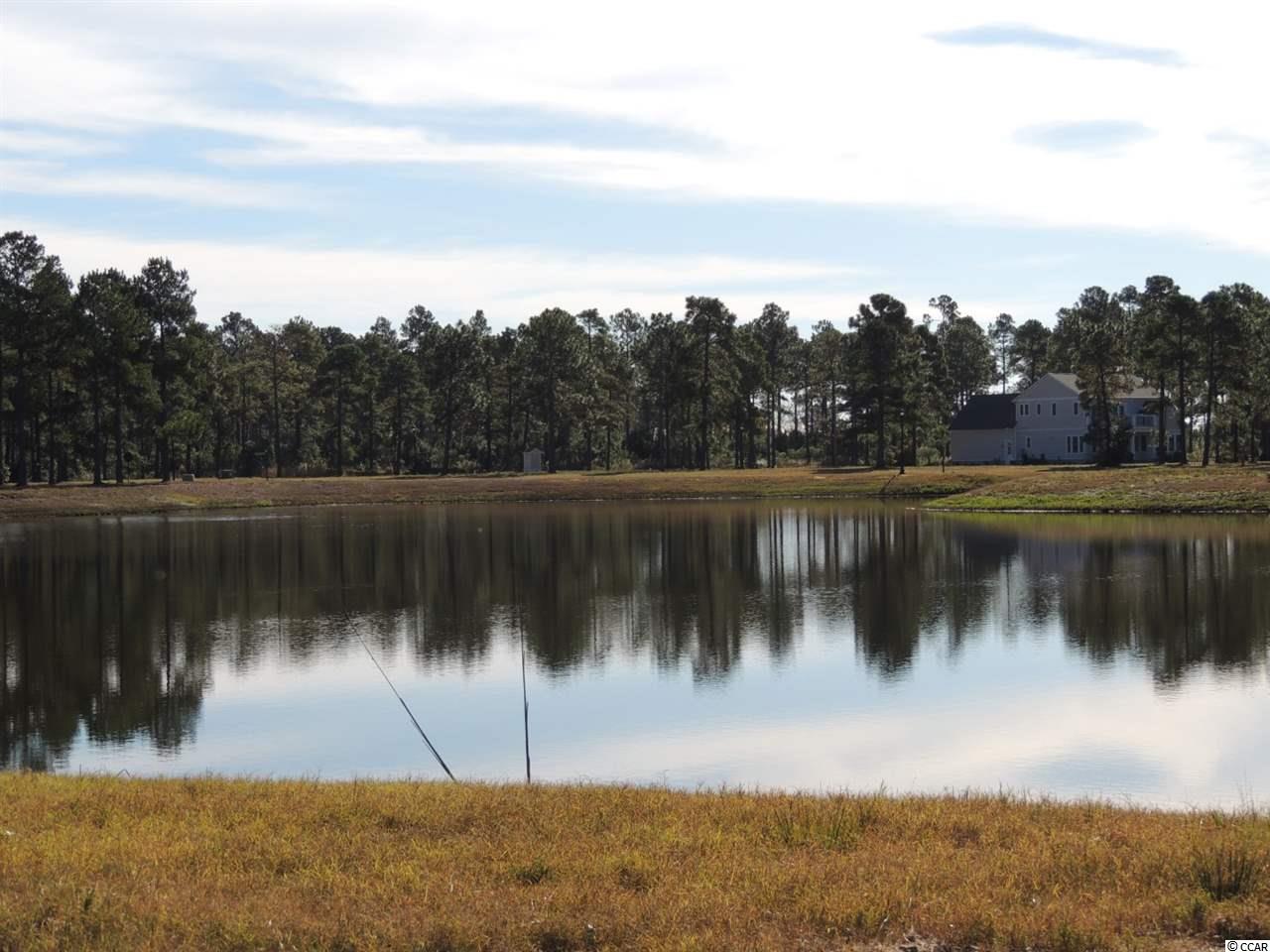 Lot 461 Fiddleway Way Myrtle Beach, SC 29579 - Photo 3 of 17 Gallery Image 3