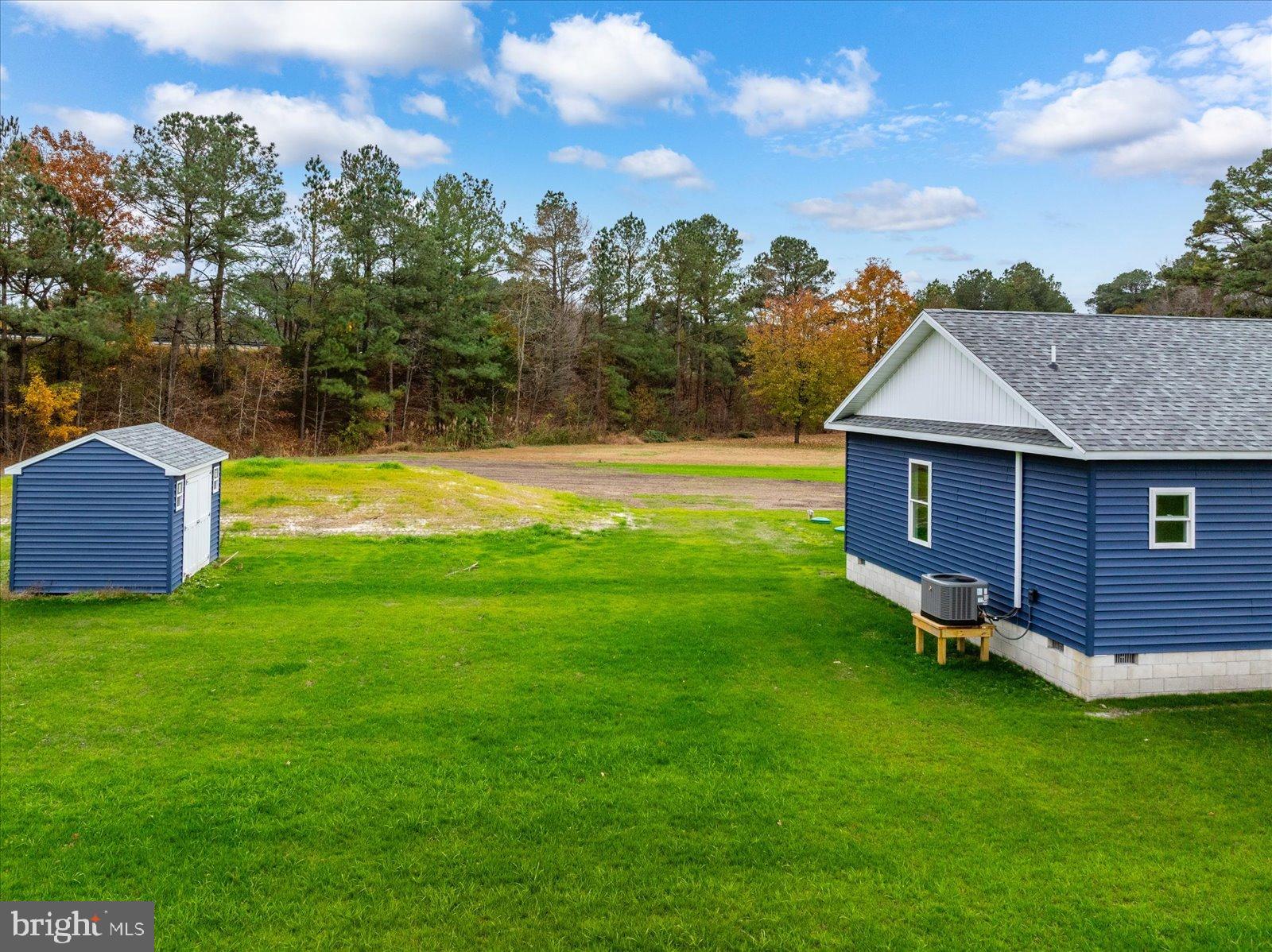 3963 Disharoon Road Eden, MD 21822 - Photo 50 of 61 Charming blue home amid lush greenery.
