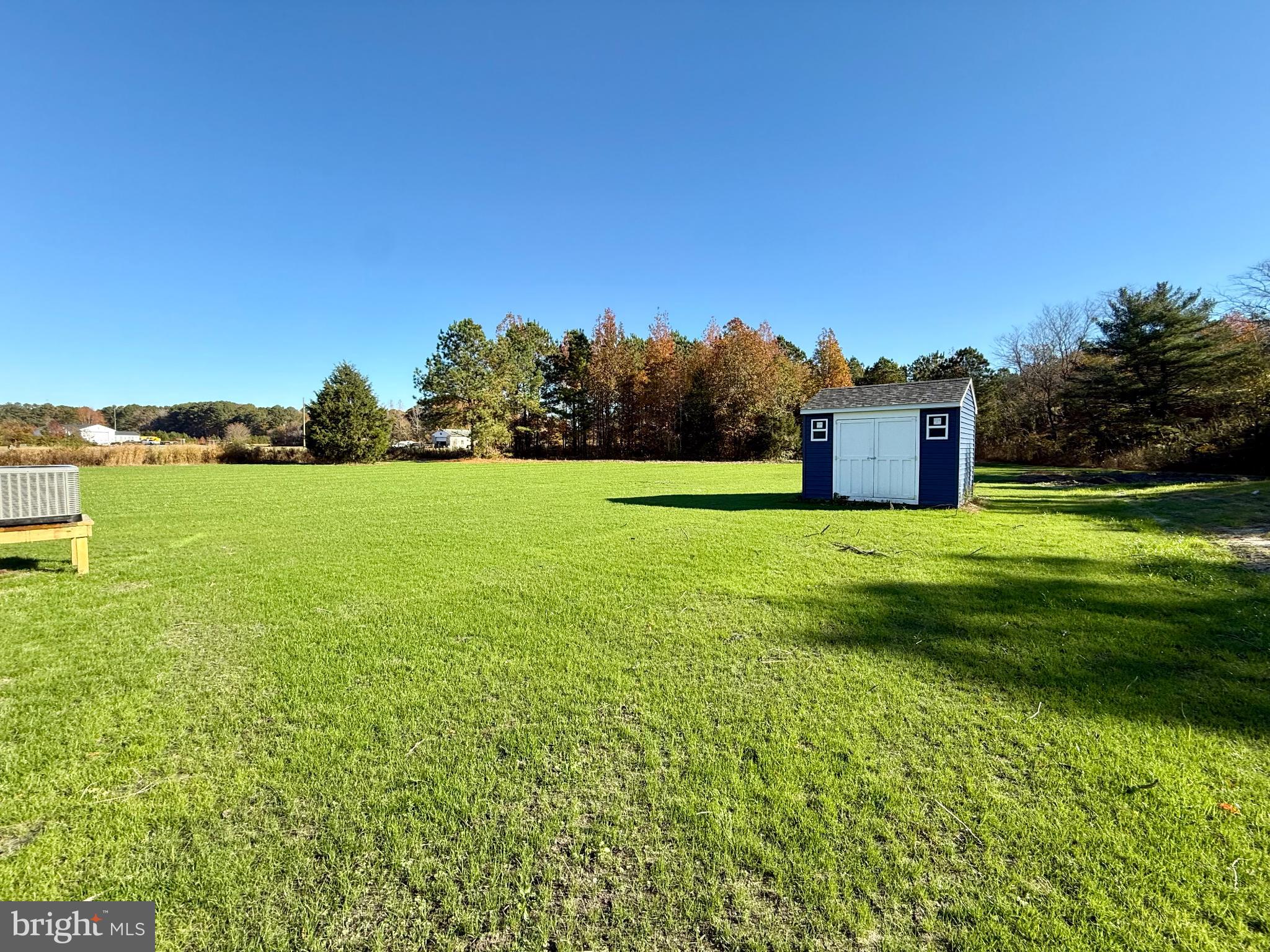 3963 Disharoon Road Eden, MD 21822 - Photo 57 of 61 Spacious green lawn with a charming shed.