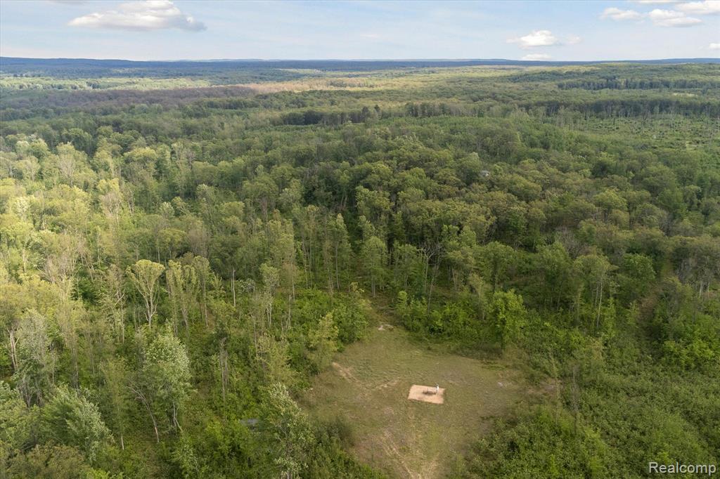 0 Oak Ridge Circle Road Mio, MI 48647 - Photo 4 of 13