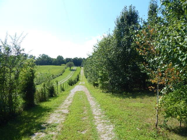292 Depot Road Rock Island, TN 38581 - Photo 19 of 23 Gallery Image 19