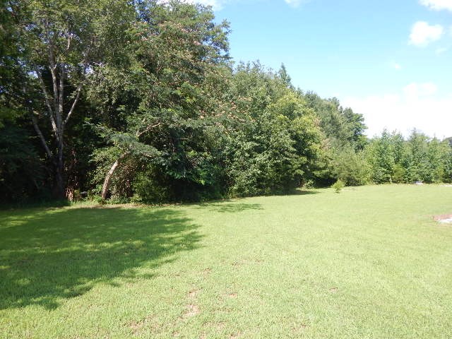 292 Depot Road Rock Island, TN 38581 - Photo 3 of 23 Gallery Image 3