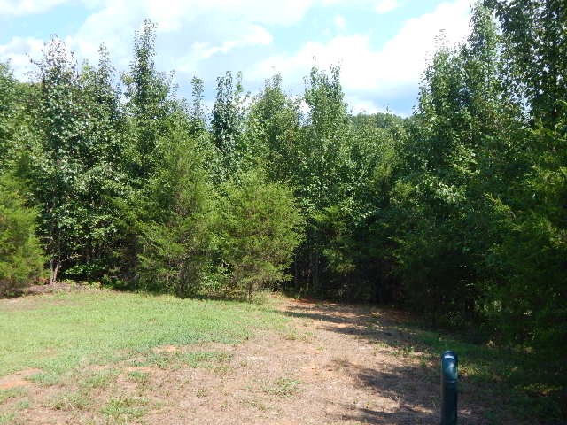 292 Depot Road Rock Island, TN 38581 - Photo 9 of 23 Gallery Image 9