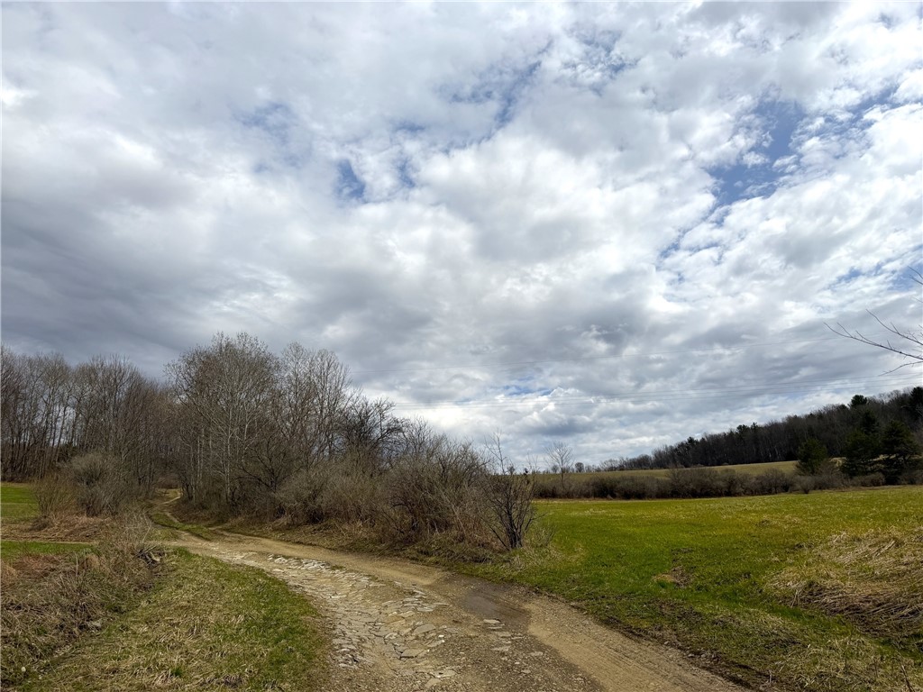 Lot 7 Summit Road Cuba, NY 14727 - Photo 7 of 31