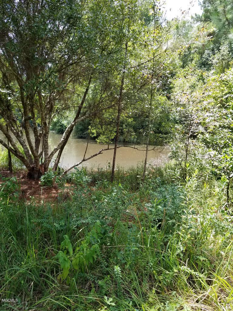 133-157 Fox Trail Road Picayune, MS 39466 - Photo 3 of 9 170794_3