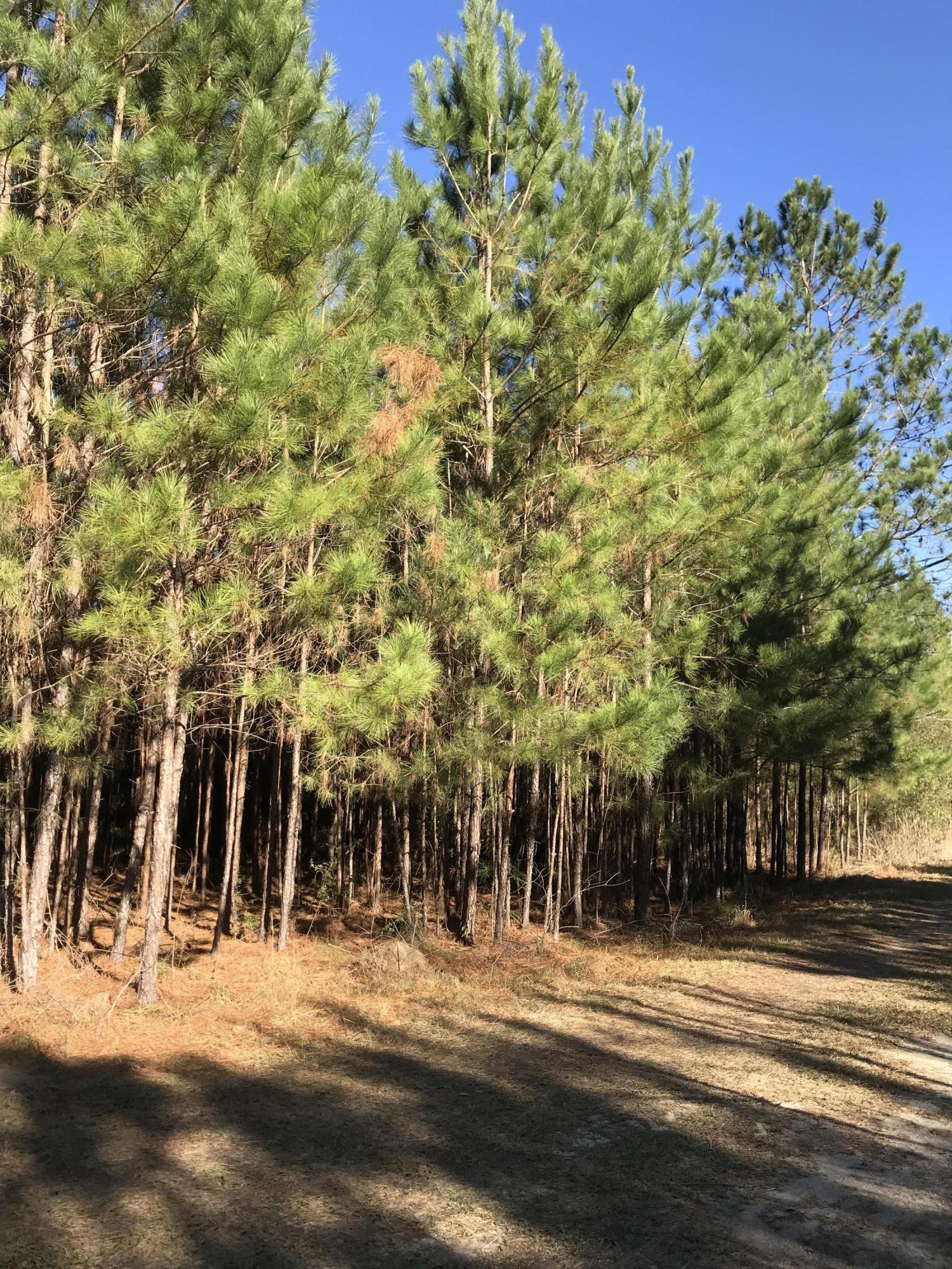 133-157 Fox Trail Road Picayune, MS 39466 - Photo 8 of 9 IMG_9263