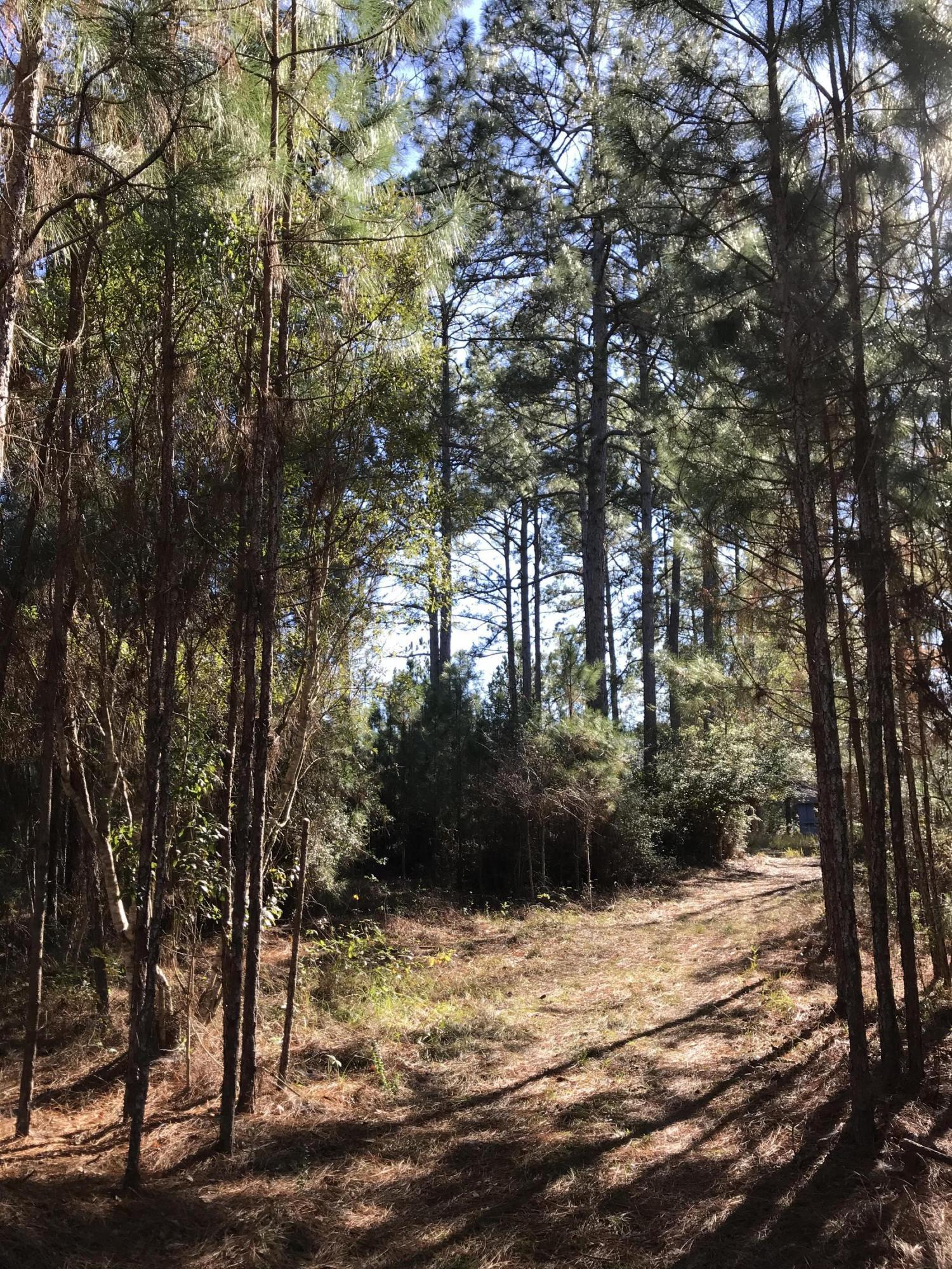 133-157 Fox Trail Road Picayune, MS 39466 - Photo 9 of 9 IMG_9264