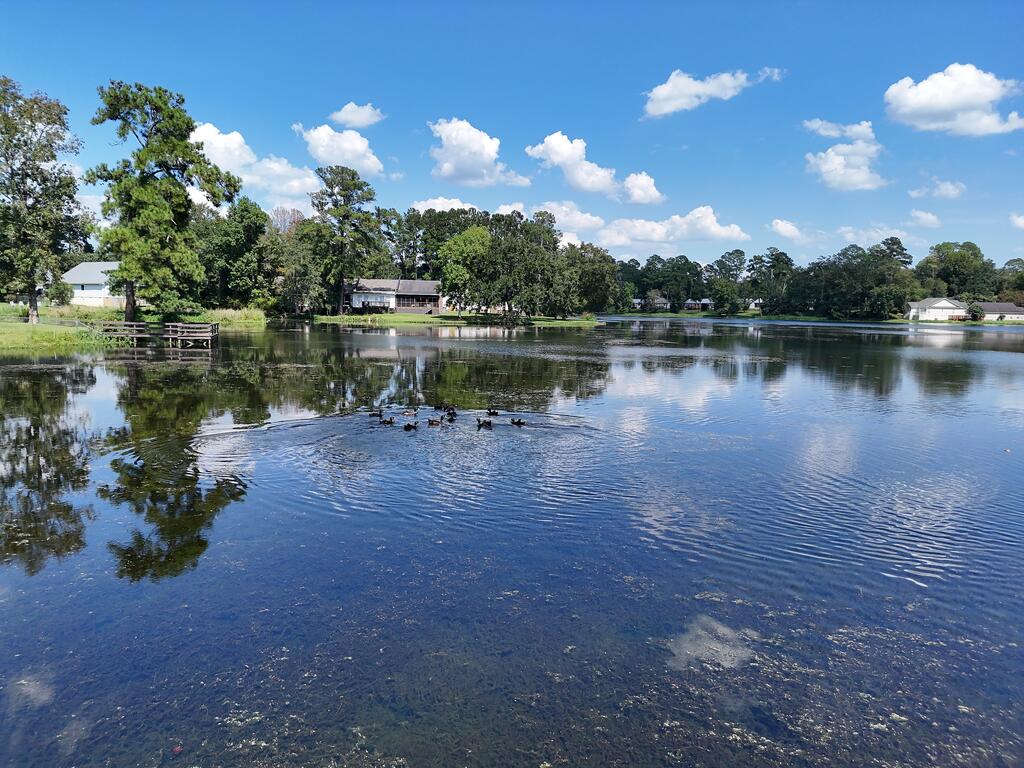 49 Tall Timbers Road Thomasville, GA 31757 - Photo 17 of 20 Gallery Image 17