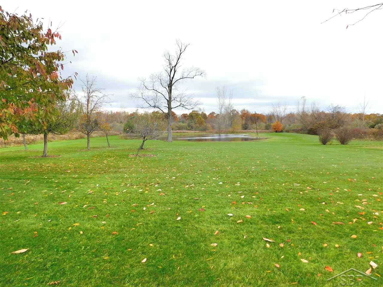 9674 Sarle Road Freeland, MI 48623 - Photo 33 of 37