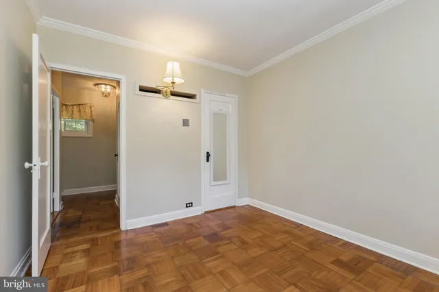 a view of a tree in a yard