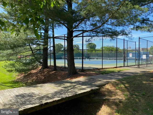 a view of a swimming pool with a yard