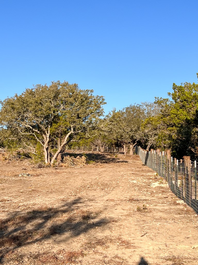 1505 Red Rock Road Kendalia, TX 78027 - Photo 8 of 13