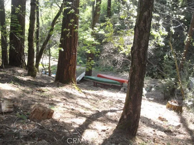 a view of a tree in the middle of a yard