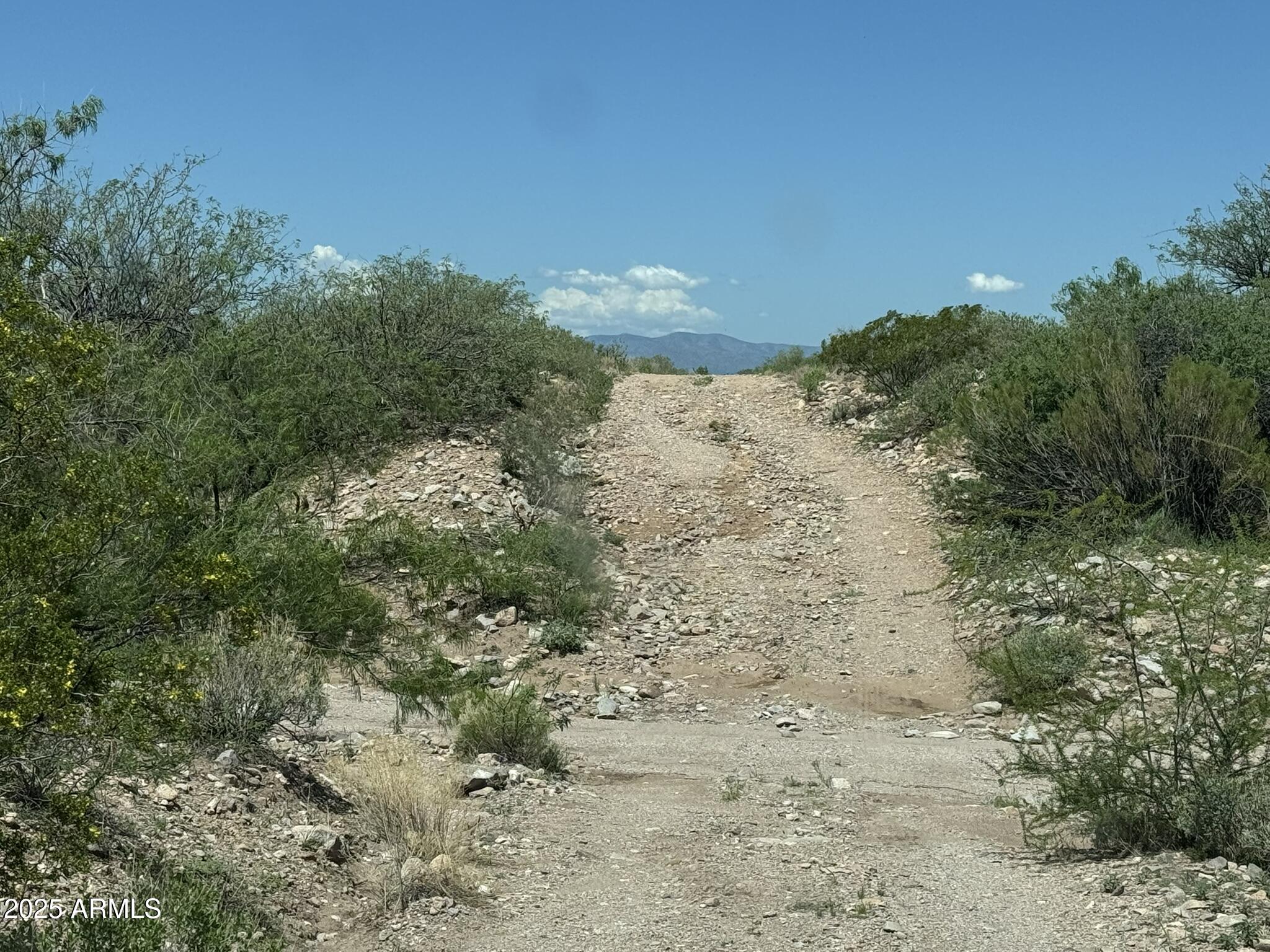 40-acres East Get Lost Road Douglas, AZ 85607 - Photo 17 of 30 IMG_4376