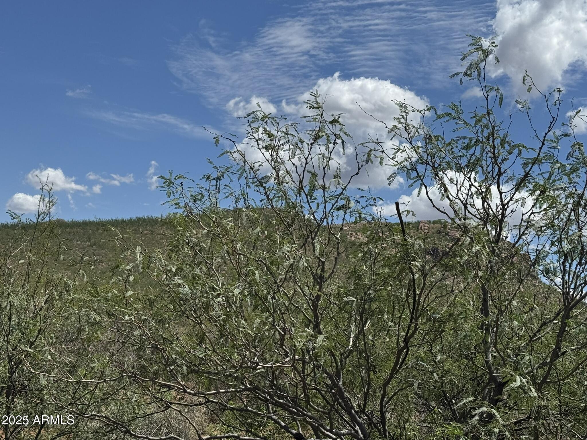 40-acres East Get Lost Road Douglas, AZ 85607 - Photo 28 of 30 IMG_4391