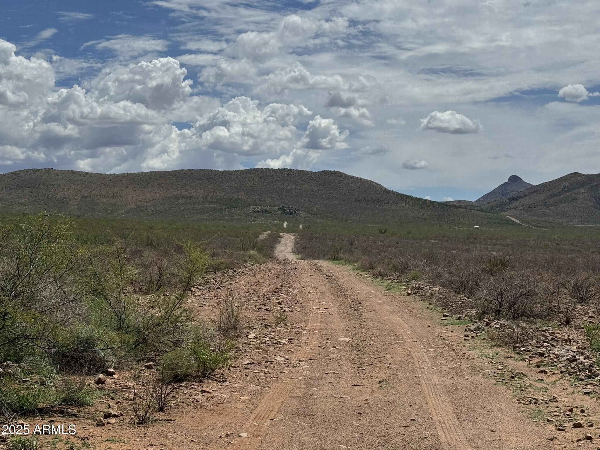 40-acres East Get Lost Road Douglas, AZ 85607 - Photo 29 of 30 IMG_4392