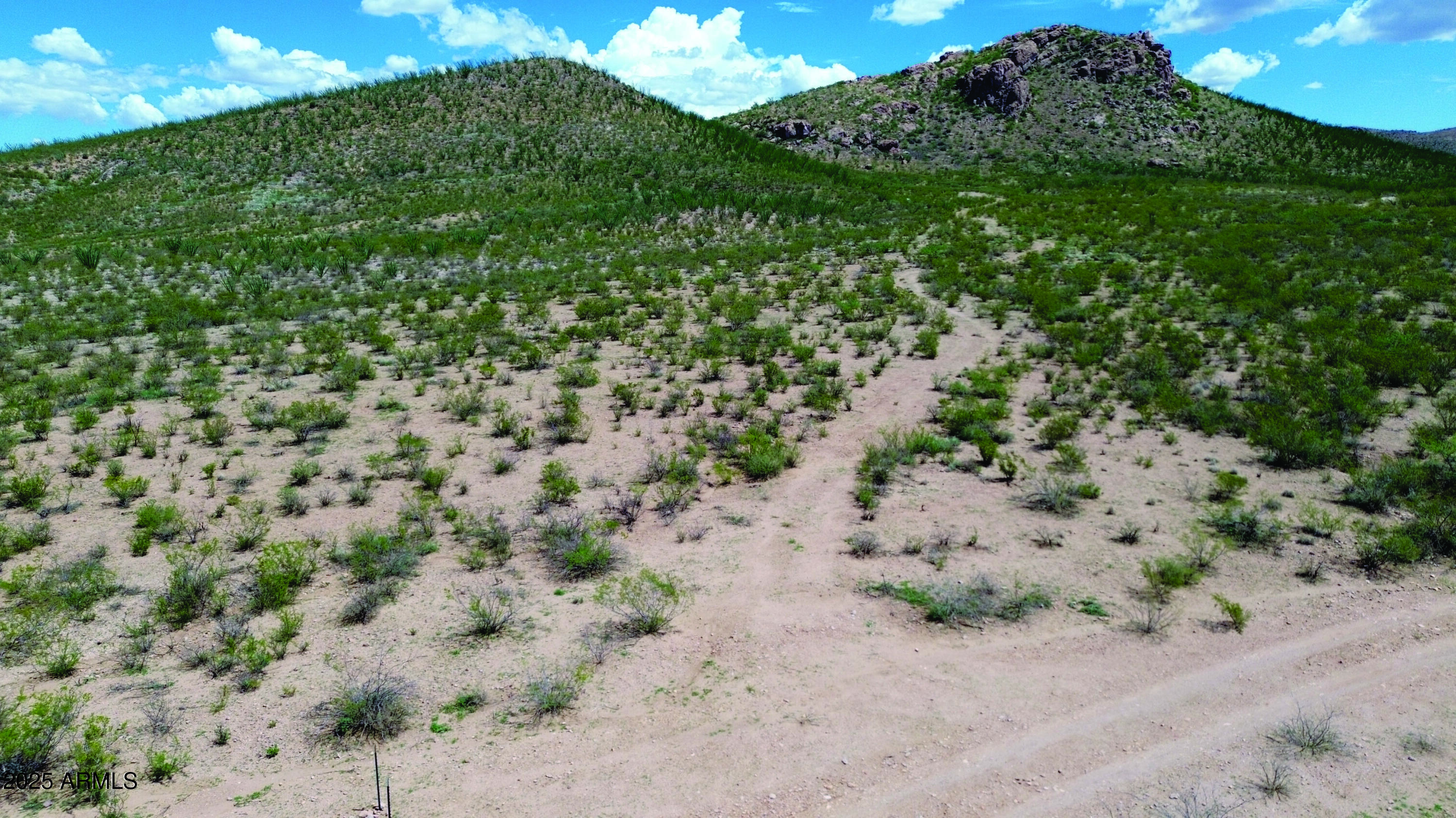40-acres East Get Lost Road Douglas, AZ 85607 - Photo 6 of 30 DJI_0793.JPG