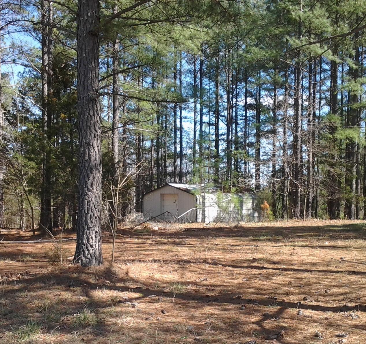 2180 Carters Mill Road Huddleston, VA 24104 - Photo 48 of 48 CARTERS MILL 2ND STORAGE