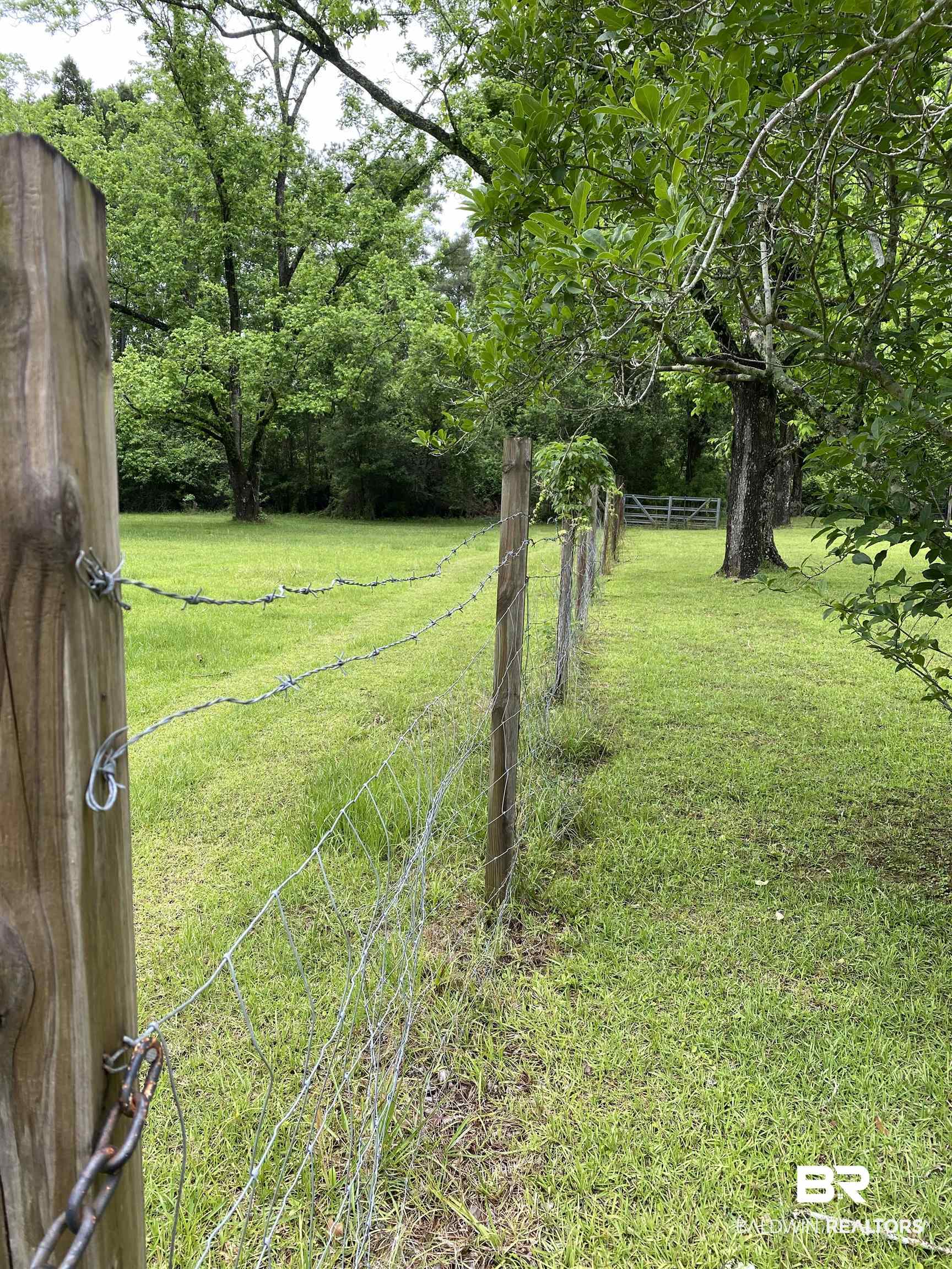 0 Old Mobile Road Daphne, AL 36527 - Photo 6 of 9 View of yard