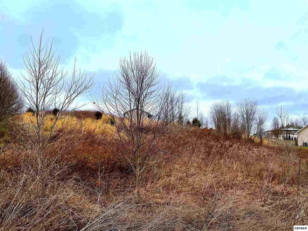 10 Ebenezer Road Chuckey, TN 37641 - Photo 3 of 7