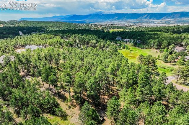 18685 Furrow Road Monument, CO 80132 - Photo 21 of 33 Gallery Image 21