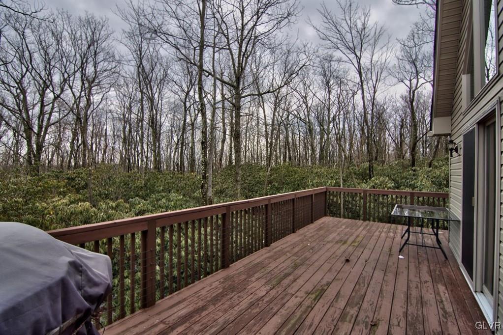 95 Rhododendron Road Jim Thorpe, PA 18229 - Photo 45 of 50 View of the front landscape from the large front d