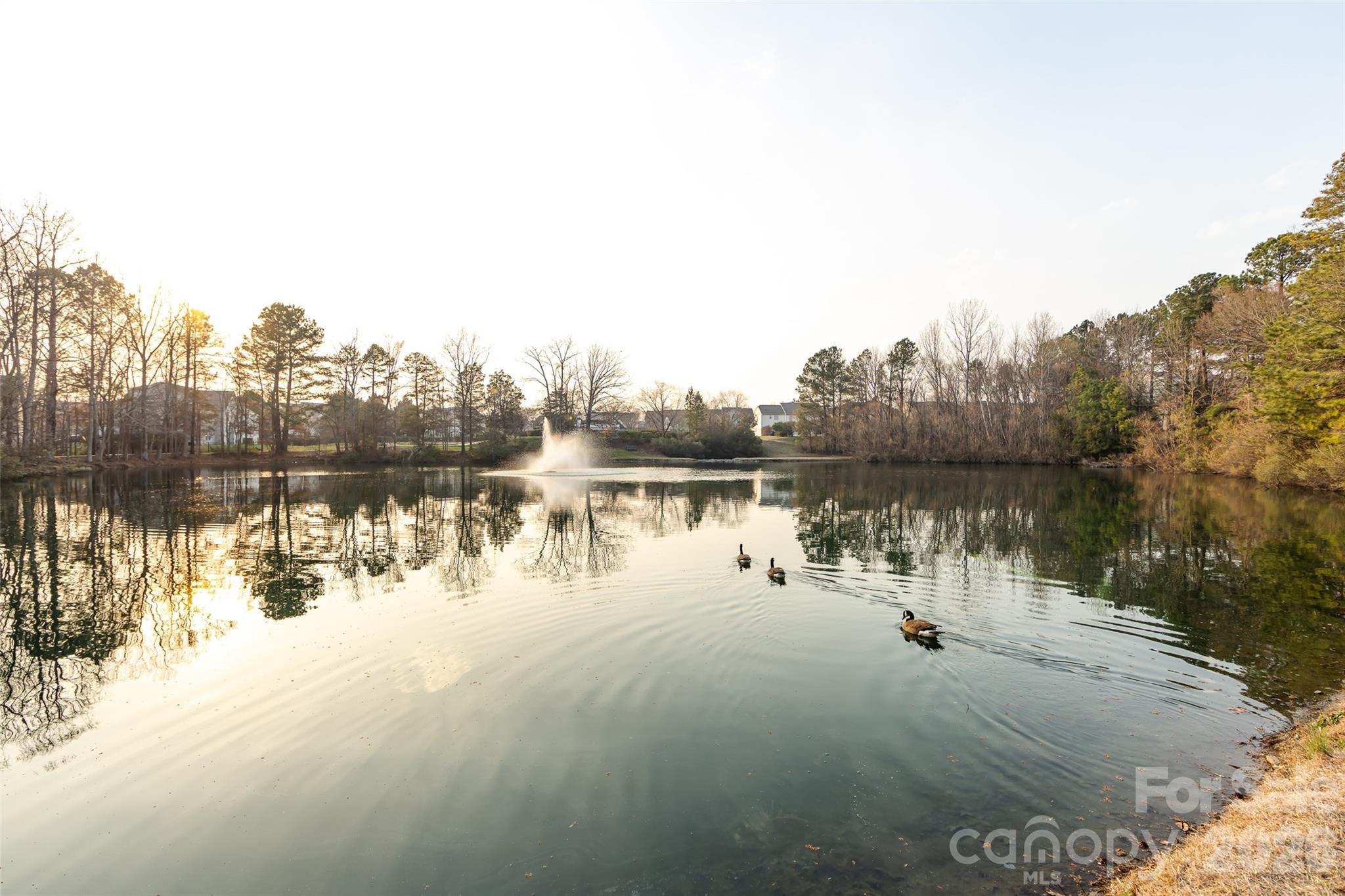 2705 Gosling Terrace Road Charlotte, NC 28262 - Photo 40 of 41