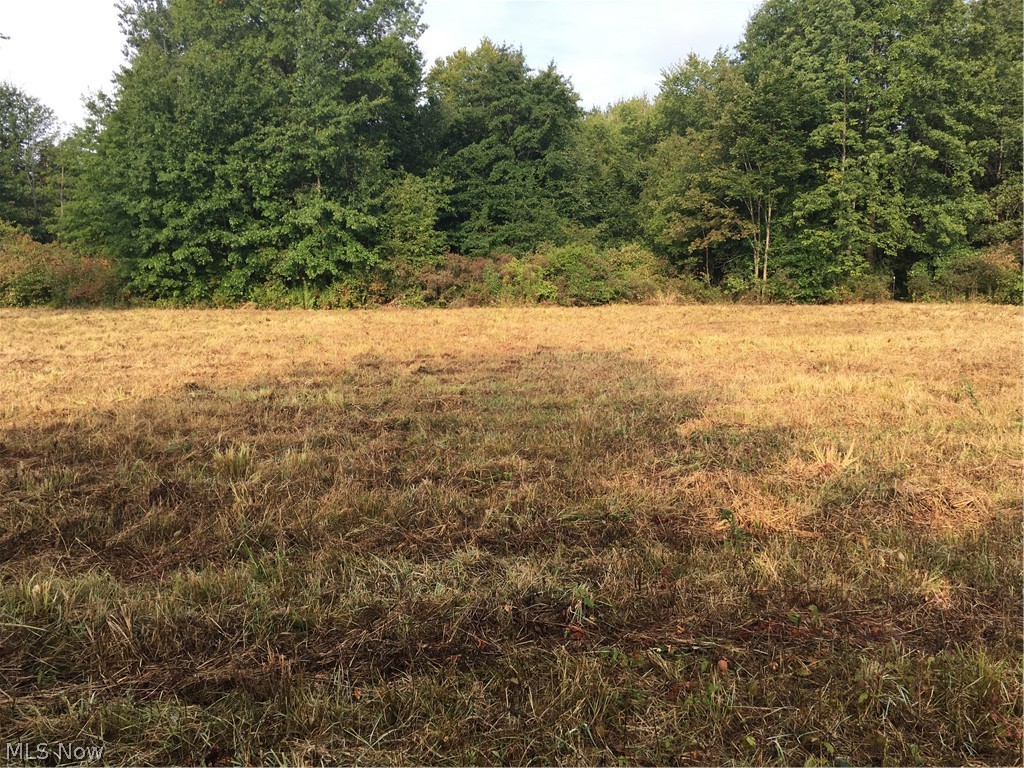10008 Cable Line Road Newton Falls, OH 44444 - Photo 24 of 31