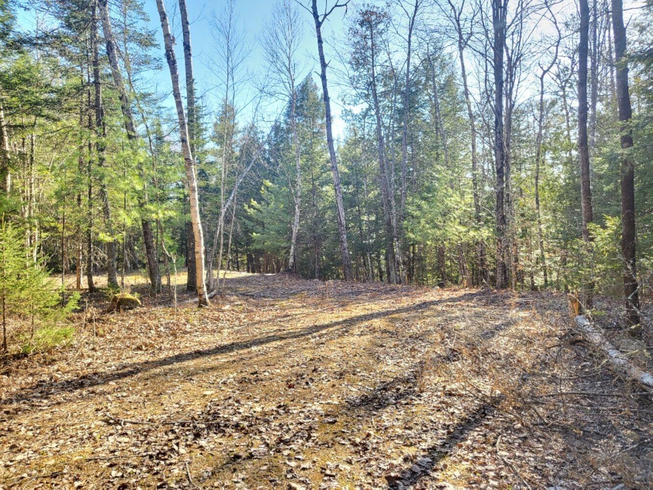 Lot 19 L15-3 Coburn Road Carthage, ME 04224 - Photo 1 of 14 20240422_170146_resized_result