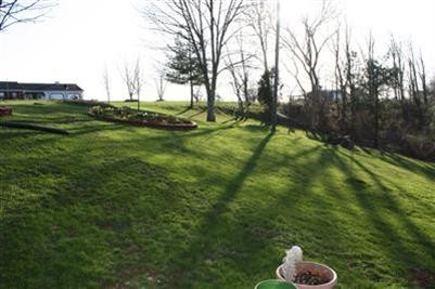 2915 Owenton Road Corinth, KY 41010 - Photo 4 of 31 Photo 4
