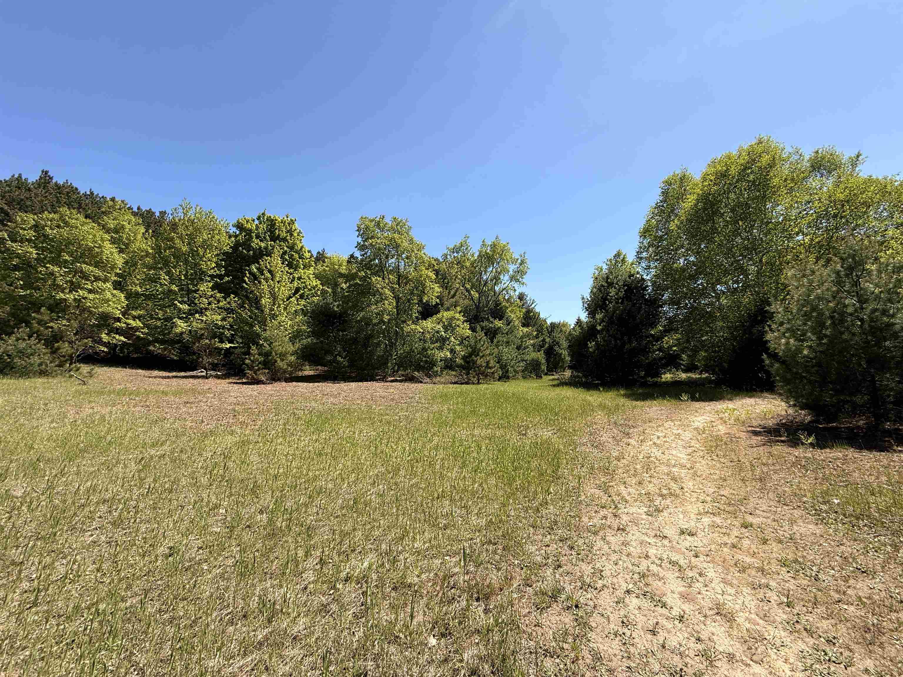 6 South Lime Lake Road Cedar, MI 49621 - Photo 9 of 20