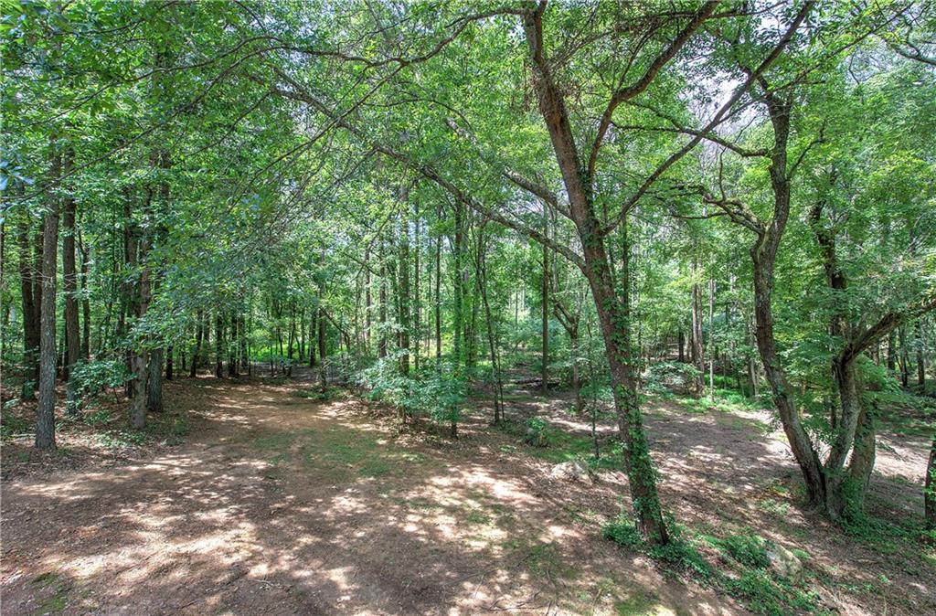 80 Iron Hill Road Taylorsville, GA 30178 - Photo 8 of 37