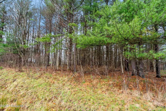 $15,000 | L25.3 Waterbury Road, Nassau, NY 12123